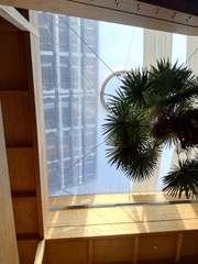 Zero_Carbon_Walk_2022_1
