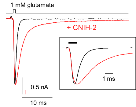 Fast Application Trace