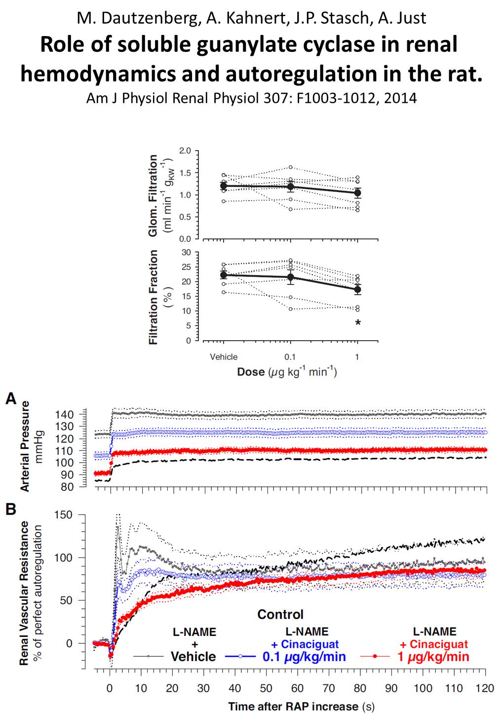 Soluble Guanylate Cyclase in Renal Hemodynamics